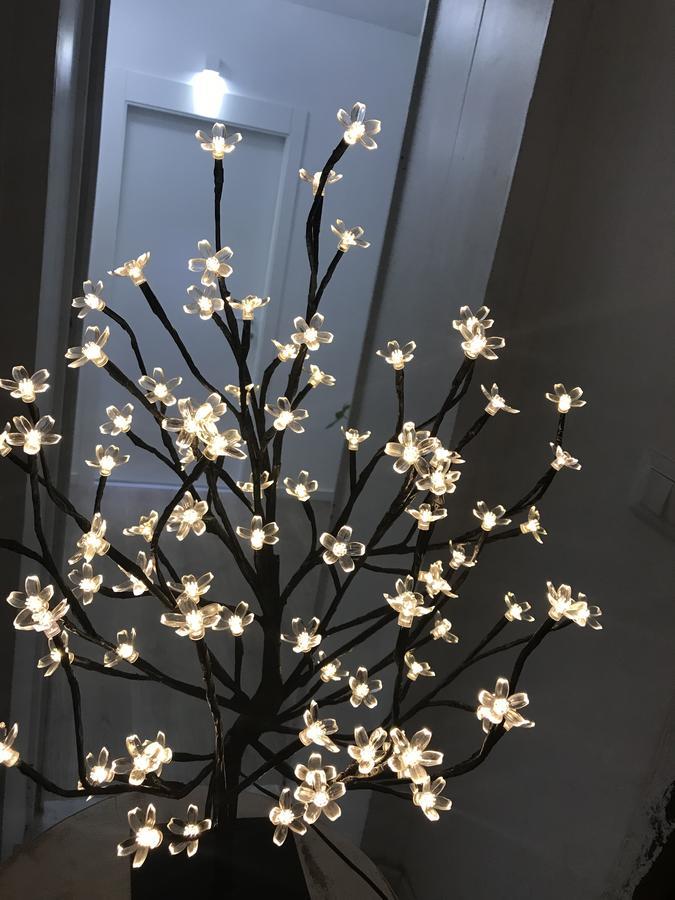 パレルモ Porta Maqueda Bed & Breakfast エクステリア 写真